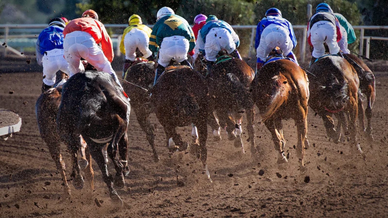 Horse racing