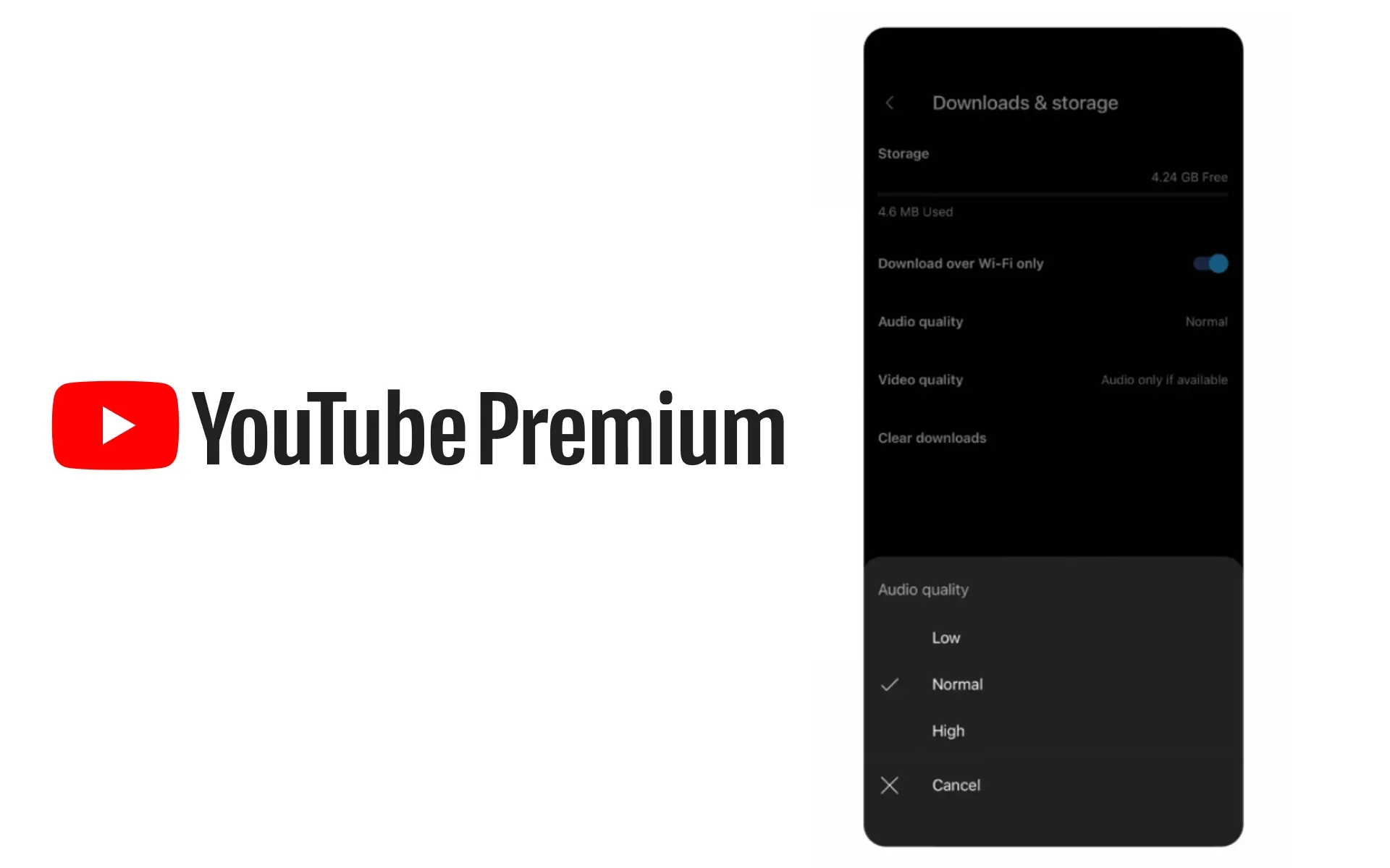 YouTube Premium download settings showing audio quality options and storage management