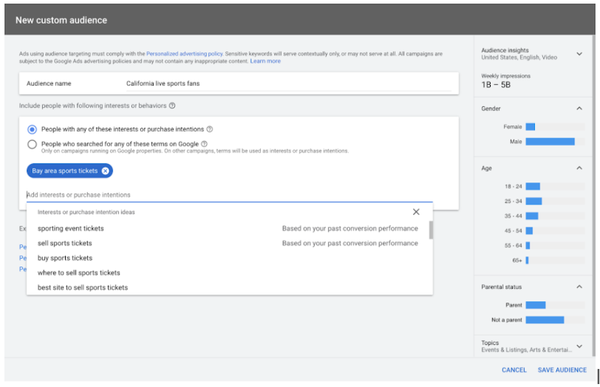 Custom Audience Google Ads