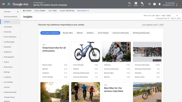 Asset audience insights in Google Ads