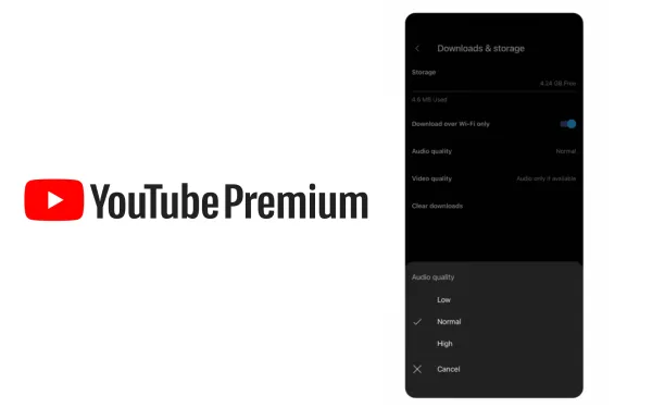 YouTube Premium download settings showing audio quality options and storage management